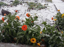 «Зимы ждала, ждала природа…»: главный метеоролог Воронежской области дал прогноз на первый снег