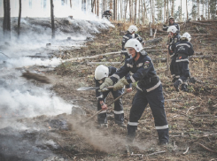 Особый противопожарный режим ввели в Воронежской области на месяц раньше 