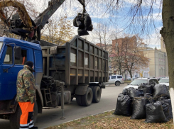Месячник благоустройства стартовал в Борисоглебском округе