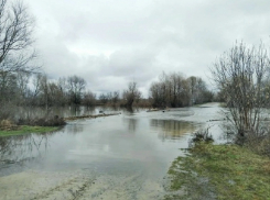 В Воронежской области из-за паводка остаются затопленными 5 мостов