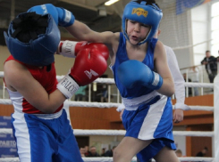 В конце недели в Борисоглебске пройдет межрегиональный турнир по боксу