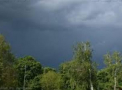 Желтый уровень опасности объявлен в Воронежской области