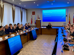 Депутаты Борисоглебской городской Думы объединили должности главы администрации и главы округа