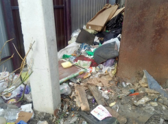 Коммунальный беспредел в Борисоглебске. Часть третья: «мусорный» вопрос