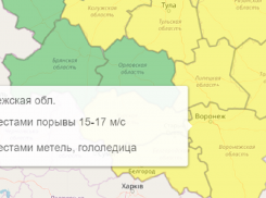 Желтый уровень опасности объявили из-за непогоды на территории Воронежской области
