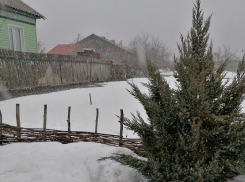 На новой неделе в Воронежскую область вернется весна с теплом и дождями