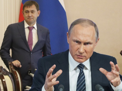 Воронежская «Единая Россия» расписалась в своём непонимании Владимира Путина