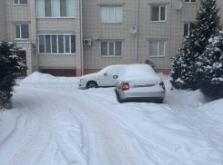 Руководителей трех управляющих компаний в Борисоглебске привлекут к ответственности из-за неубранного снега