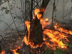 Воронежская область усиленно готовится к пожароопасному сезону 	