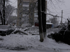 В Борисоглебске жители нескольких улиц остались без света из-за оледенения и снегопада