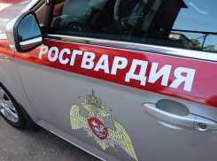 В Борисоглебске пропавшую трехлетнюю девочку нашли рядом с трассой
