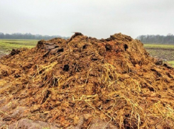 В Терновском районе сельхозпредприятие заплатит штраф за загрязнение почвы навозом