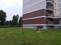 В Борисоглебске военные присоединились к акции «Сад памяти»