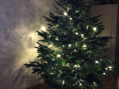 Большинство борисоглебцев украшает к Новому году искусственные елки