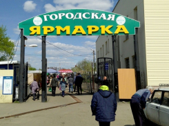 Почему на Борисоглебской сельскохозяйственной ярмарке стало дешевле покупать продукты
