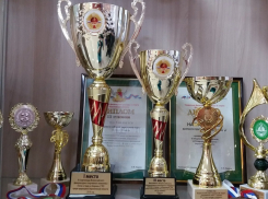 Борисоглебские спортсмены собрали золото на областных соревнованиях