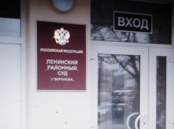 В Воронежской области суд оправдал жителя, вышедшего с антивоенным плакатом 