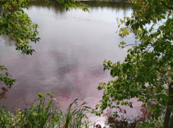 Сбросов не обнаружили: специалисты проверили «красный пруд» в Терновке 