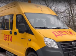Сельская школа Терновского района получила новый микроавтобус