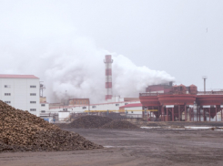 Трое новохоперцев попались на краже сахара с завода