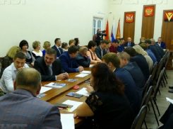 Борисоглебцы сочли работу городской думы под руководством Елены Агаевой удовлетворительной