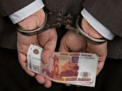 В отношении задержанного в Грибановском районе начальника полиции возбуждено уголовное дело