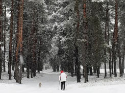  Настоящая зима пришла в Воронежскую область под занавес зимнего календаря