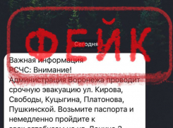 В столице Воронежской области распространили фейк о «срочной эвакуации»