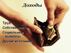 Жителям Воронежской области предложат добровольно рассказать о своих доходах Росстату