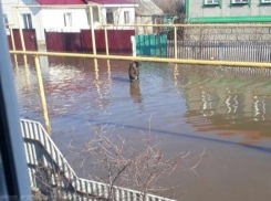 Опубликовано фото страшного потопа в воронежском Калаче