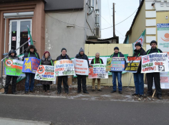 В Борисоглебске прошел пикет против добычи никеля