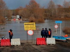15 мостов затопило в Воронежской области