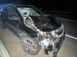 Неопознанного пешехода сбил автомобиль на трассе под Борисоглебском