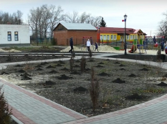 Чигорак не стал самым красивым селом Воронежской области. И в призеры Борисоглебский округ опять не попал