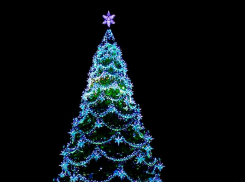  Главную елку Воронежской области зажгут к 25 декабря 