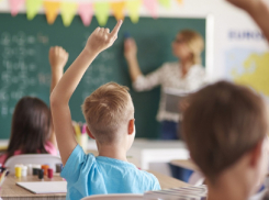 В школах Воронежской области могут ввести внеурочный курс «Моя семья»