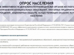 Борисоглебцам предлагают оценить работу местной власти