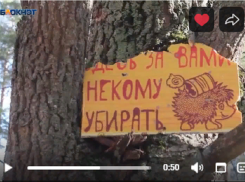 Новый видеосюжет мобкора «Блокнот Борисоглебск» - о весеннем мусоре и об ответственности