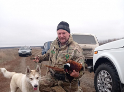 Первые испытания по добыче  фазана прошли в Воронежской области