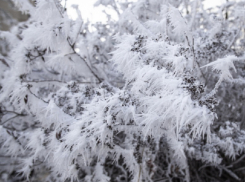 На выходных в Воронежской области похолодает до -24 градусов