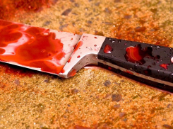 В Воронежской области в 2019 году были убиты 134 человека