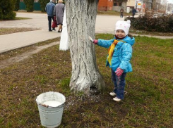 Фото дня: борисоглебцы вышли на уборку