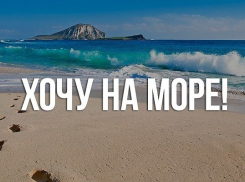 Борисоглебцы смогут отдохнуть на черноморском побережье