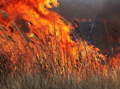 В Грибановском районе ландшафтный пожар вплотную подошел к домам