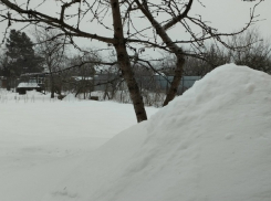 В Борисоглебском округе выпало самое большое количество снега среди районов региона
