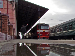 В электричках Воронежской области будут бороться с безбилетниками