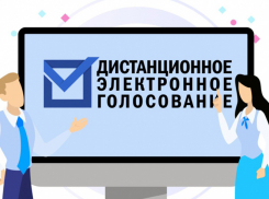 Впервые на выборах в Воронежской области будет применено дистанционное электронное голосование