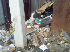 Пока суд да дело… дворы борисоглебских домов утопали в мусоре
