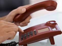 Борисоглебцев и жителей соседних районов проконсультируют по качеству плодоовощной продукции