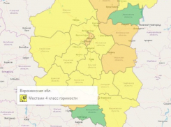 Рабочая неделя в Воронежской области началась с жёлтого уровня опасности 